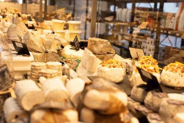 Fromages de chèvre cendrés et bûches alignés dans la vitrine réfrigérée